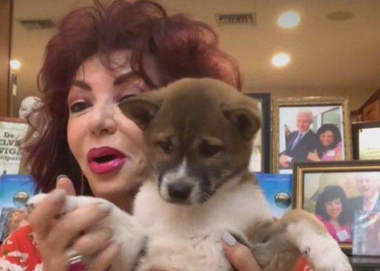 Carmen Harra și-a făcut cea mai mare bucurie. Armani e la ea acasă