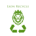 Valorificare hârtie carton cu Lion Recycle