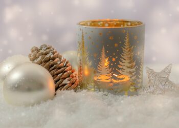 Elemente decorative de nelipsit pentru Crăciun