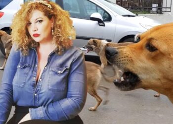 Oana Lis, atacată și mușcată de o haită de 20 de câini!