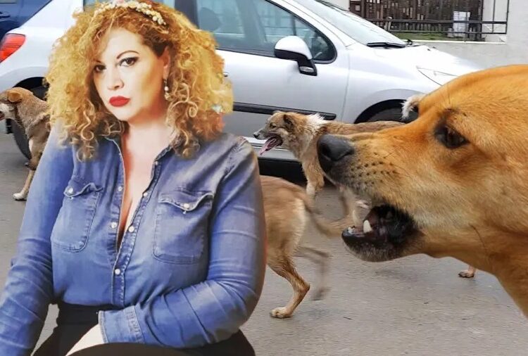 Oana Lis, atacată și mușcată de o haită de 20 de câini!