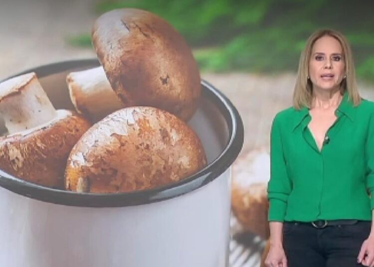 Nutriționista Mihaela Bilic recomandă ciuperci împotriva depresiei: „Psilocybina, ciuperca magică, reface neuronii!”