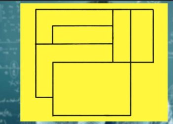 Test de inteligență! Câte patrulatere sunt în imagine?