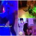 Ce au făcut fetele la petrecera burlăcițelor? Liviu s-a schimbat la față când a privit!